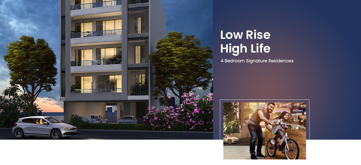 Low Rise